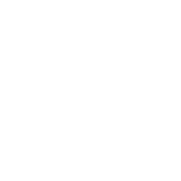 Ibis